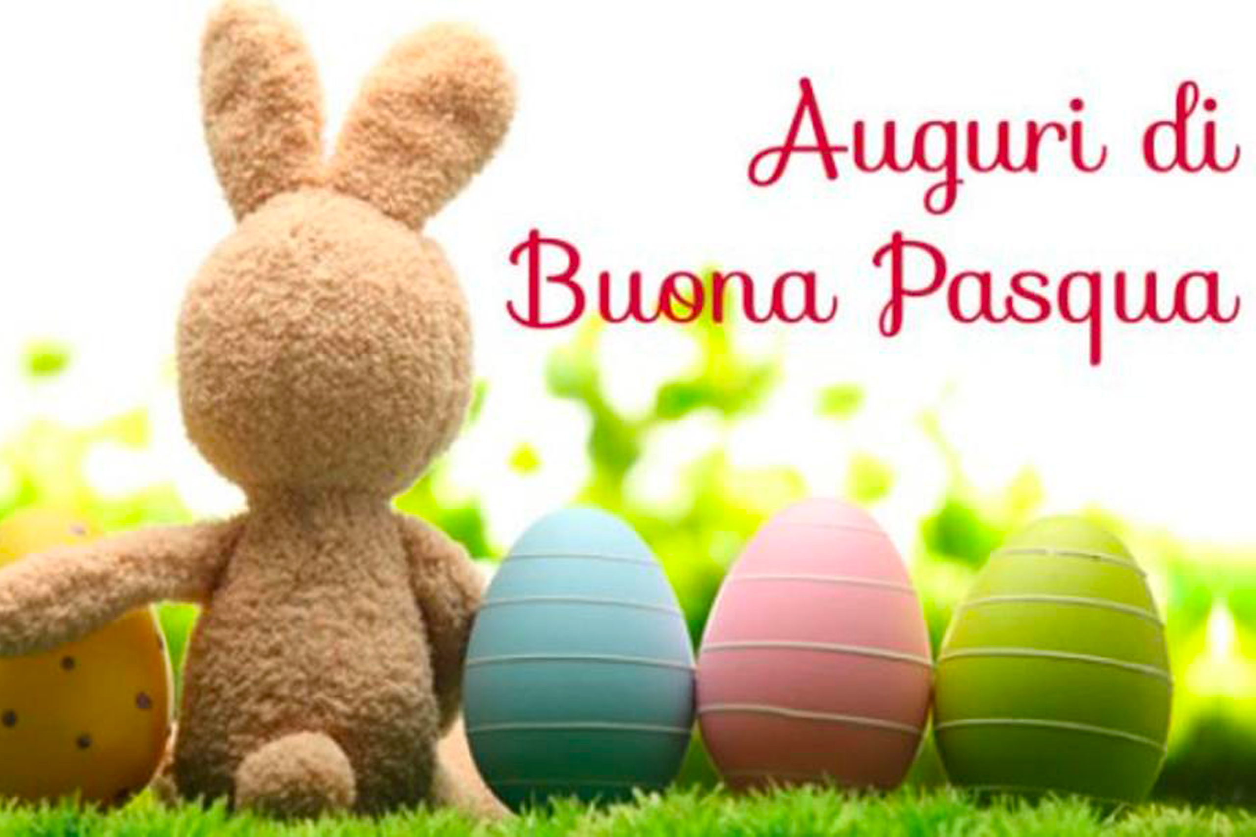 Immagine articolo