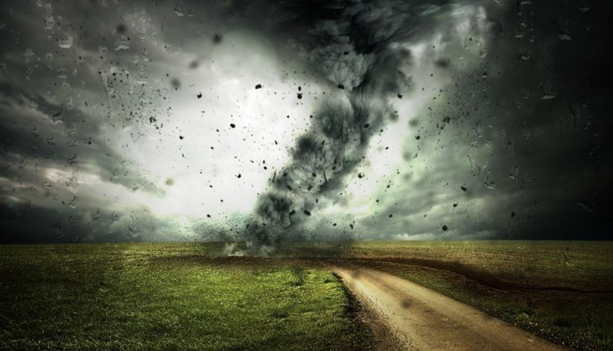Immagine Articolo